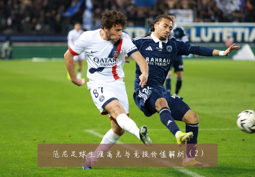 范尼足球生涯高光与竞技价值解析（2）